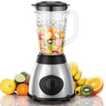 800W Blender Smoothie Maker