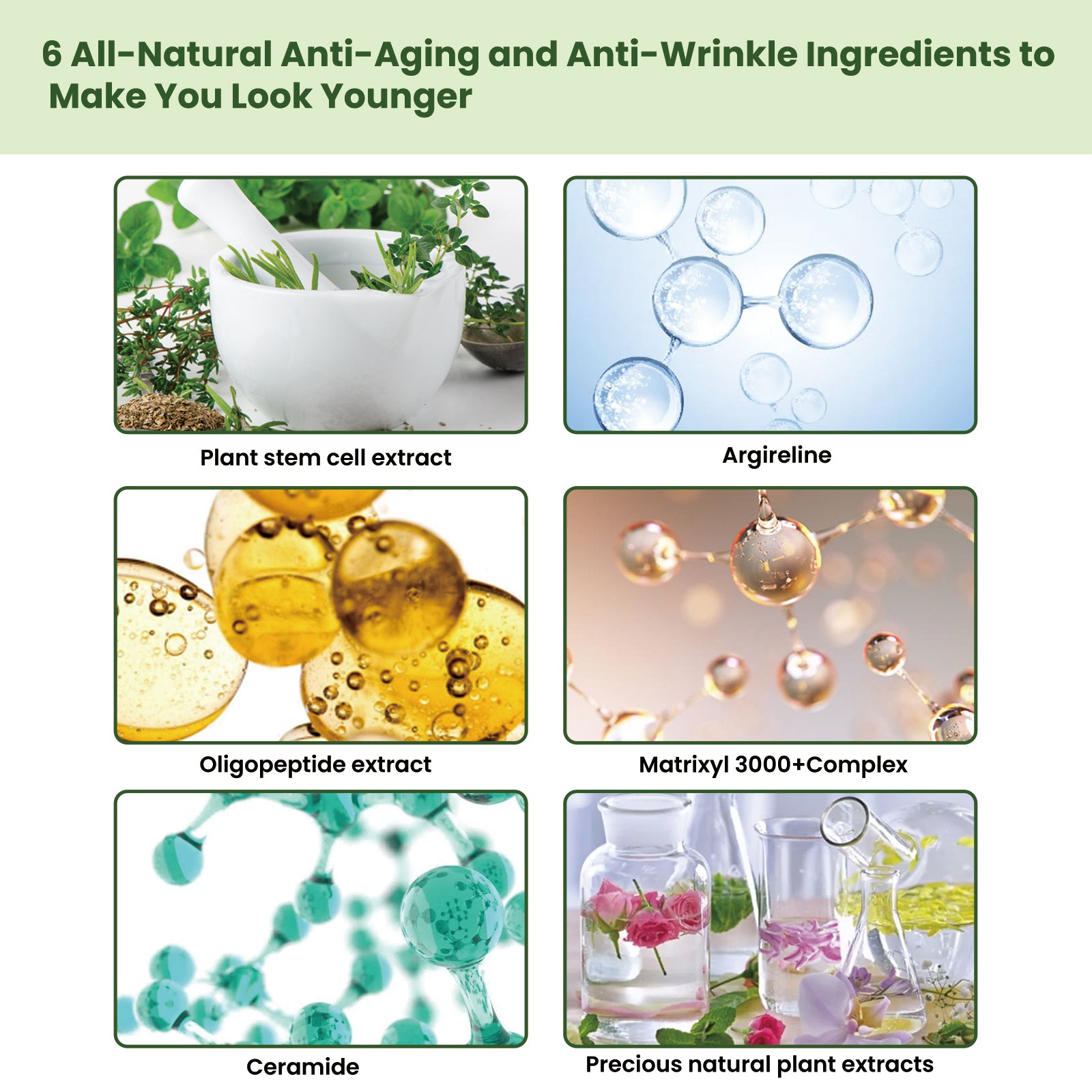 EELHOE Ceramide Firming Essence
